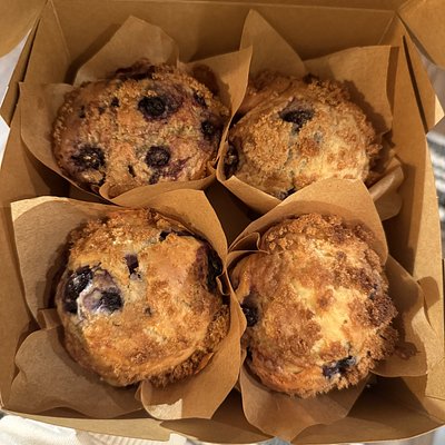 Blueberry Muffins (4)