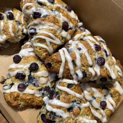 Blueberry Scones (8)