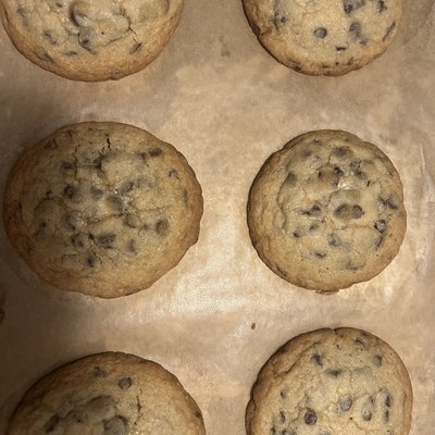 Chocolate Chip 