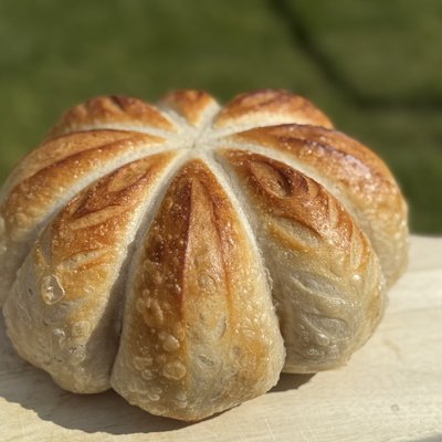 Original Pumpkin Shape 