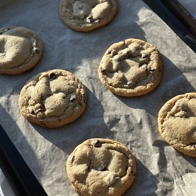 Chocolate Chip Cookie