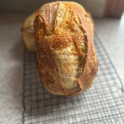 Regular Sourdough 