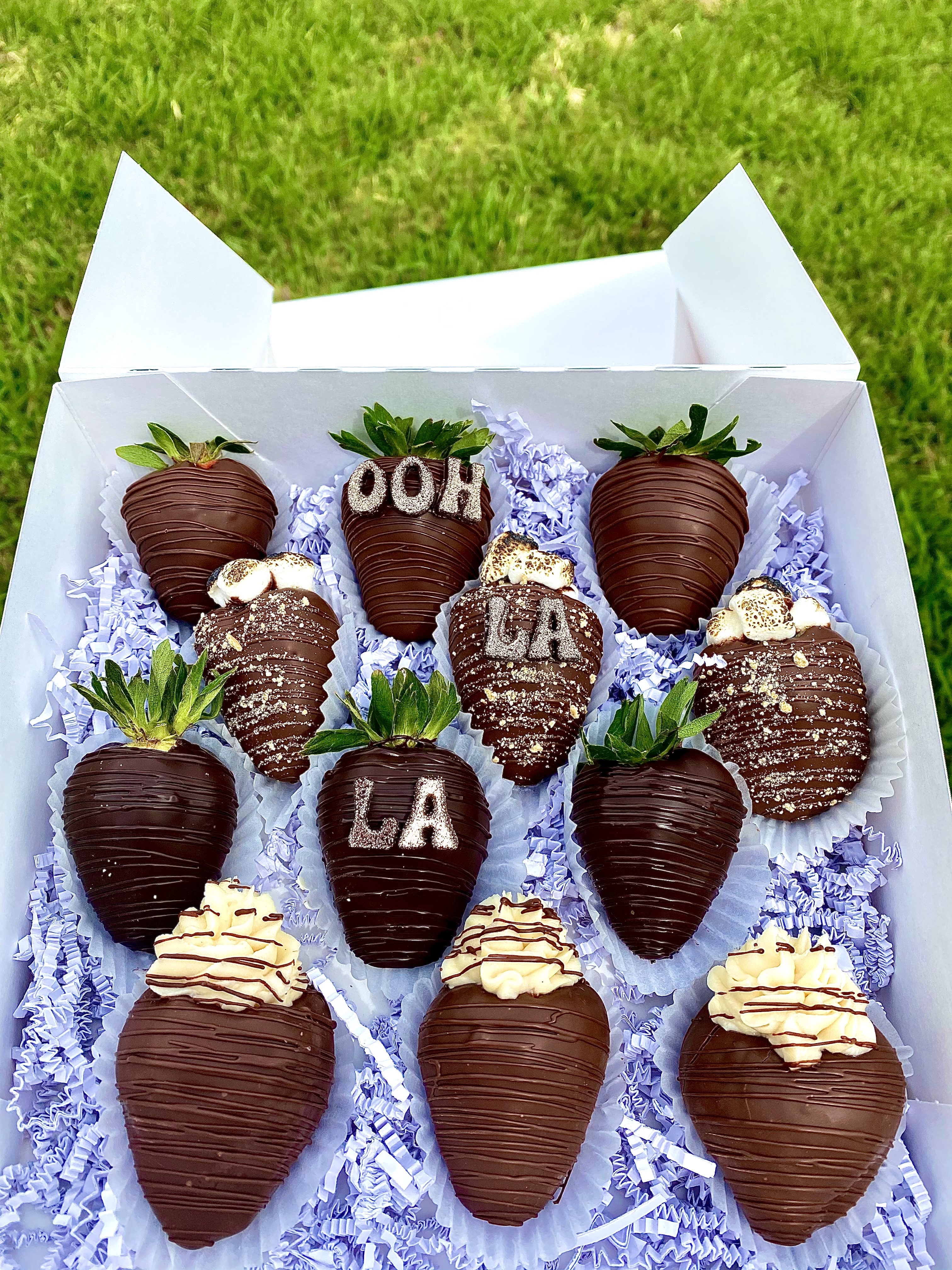 Chocolate Dipped Strawberries 