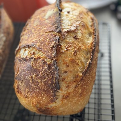 Cheddar Sourdough 