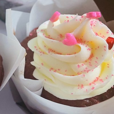Cupcakes By The Dozen