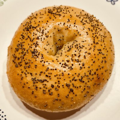 Poppy Seed Bagel