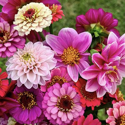 Mothers Day Brunch Box