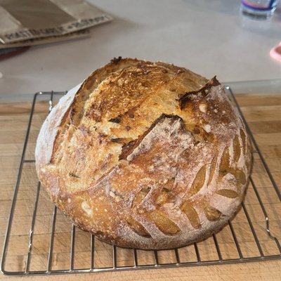 Garlic Salt & Everything Bagel Seasoning Sourdough Loaf