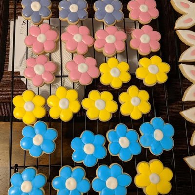 12 Count Minis 