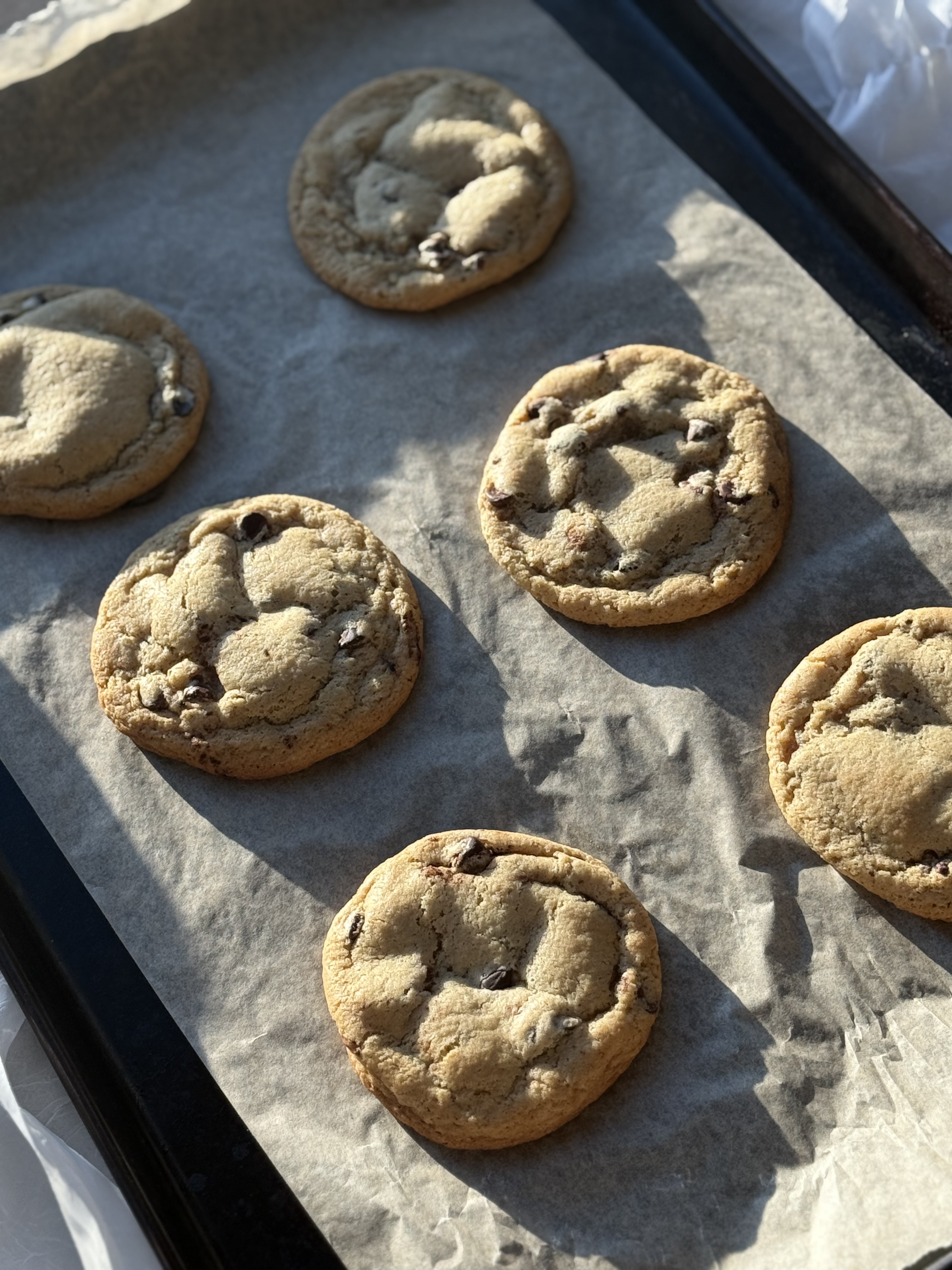 Chocolate Chip Cookie