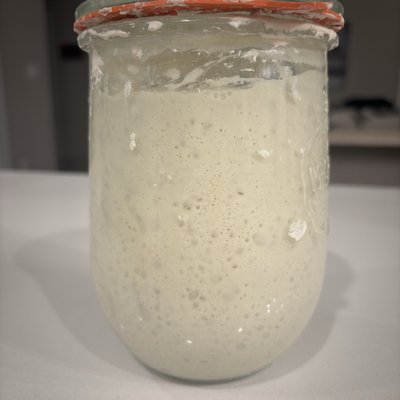 Sourdough Starter 
