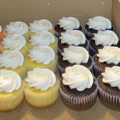 Basic Cupcakes