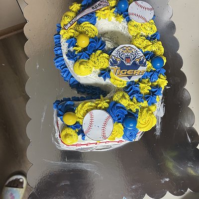 Number Shaped Custom Cakes ; Two Layers 