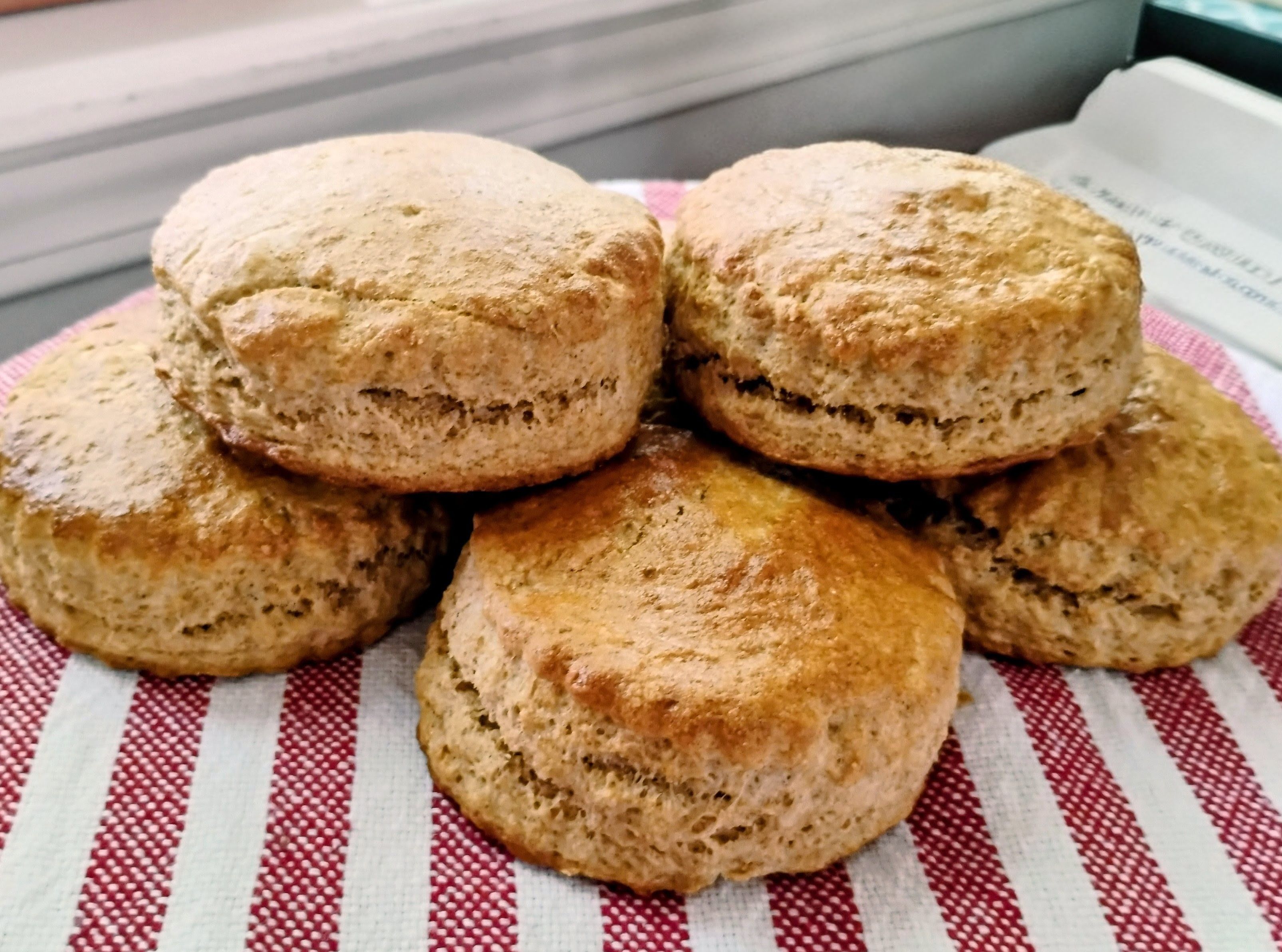 SCONES (6)