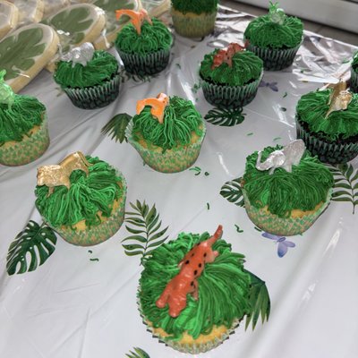 Cupcakes by the Dozen