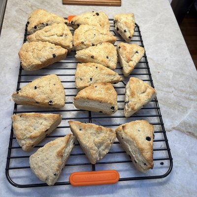 Chocolate Chip Scones 4 Pack
