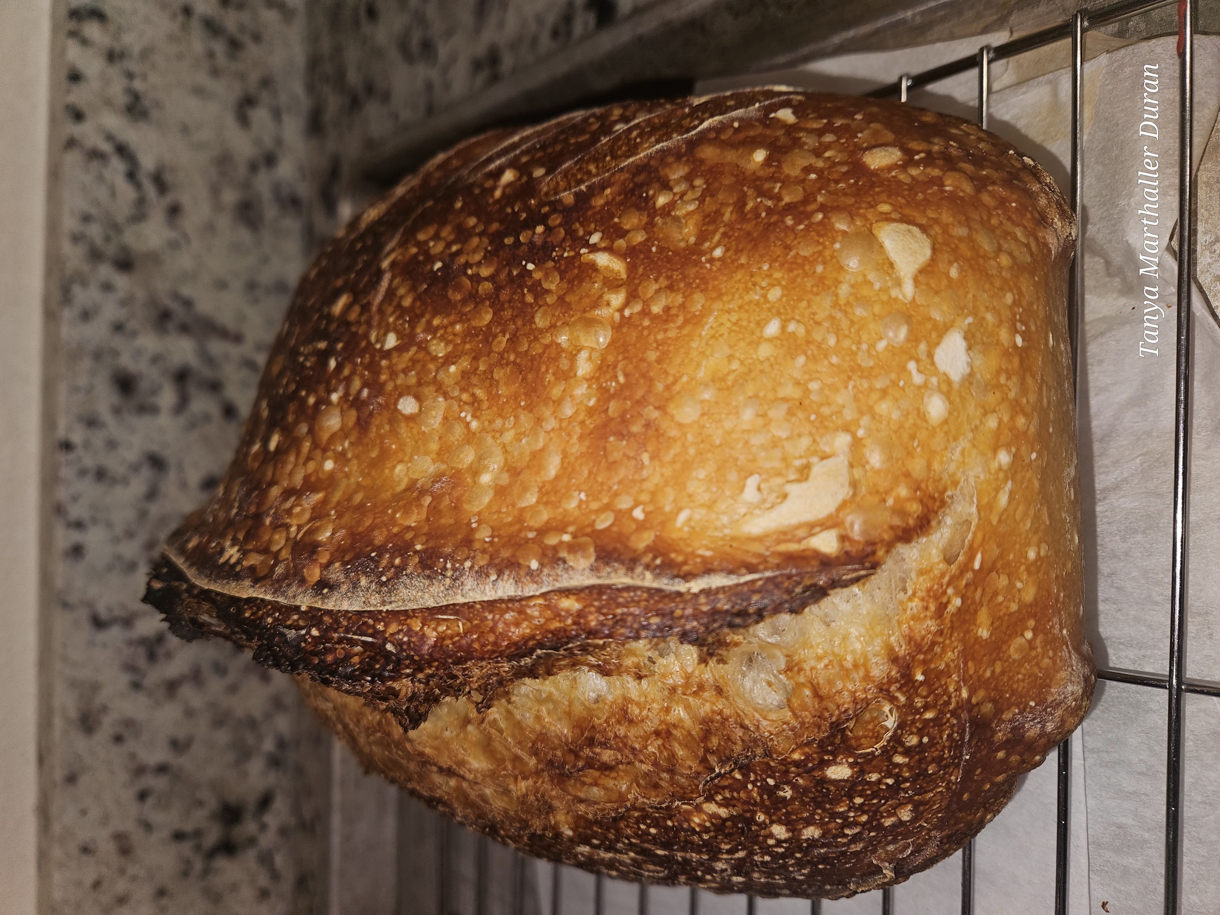 Artisan Sourdough Loaf Plain X-large