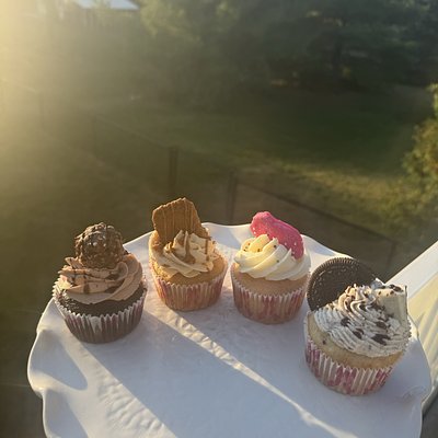 Half Dozen Cupcakes