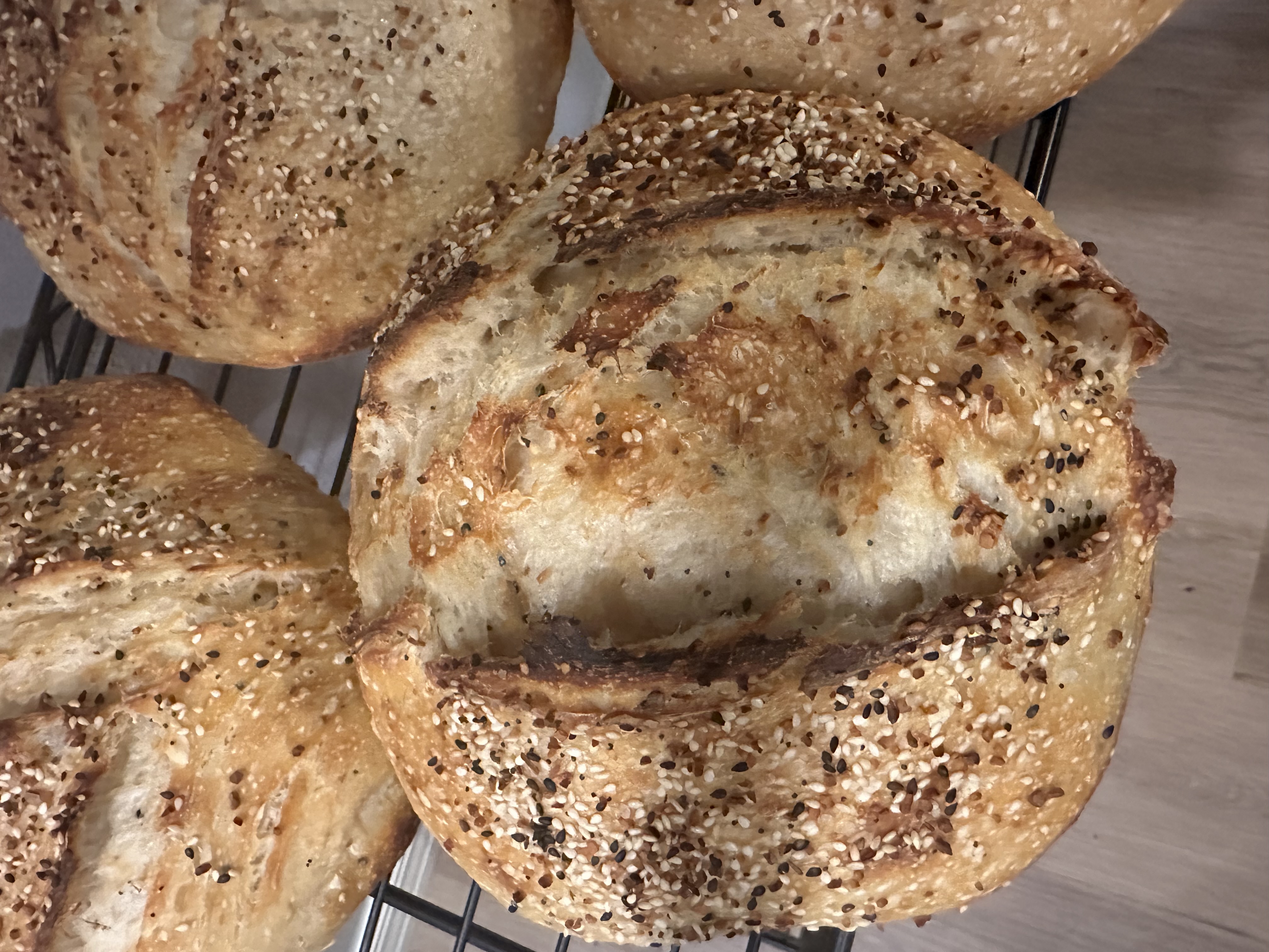 Sourdough Everything Bagel