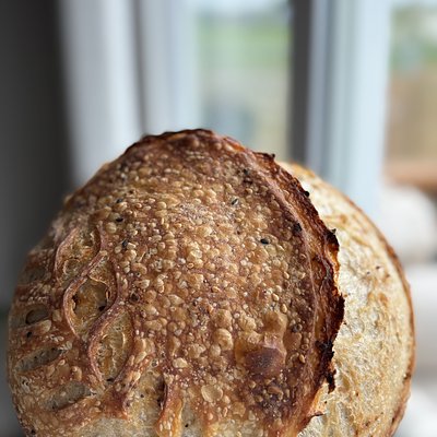 Everything-But-The-Bagel Sourdough