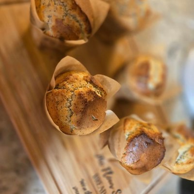 Sourdough Lemon Poppy Seed Muffins