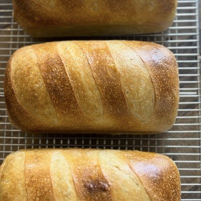 Organic Sourdough Sandwich Loaf 
