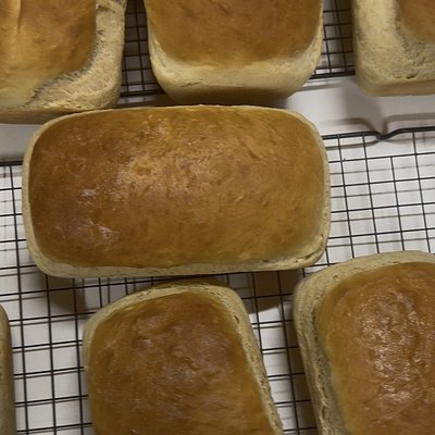 White Sandwich Bread (regular Size)