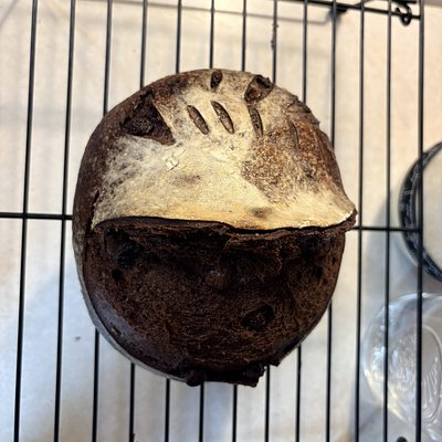 Double Chocolate Sourdough Mini Loaf