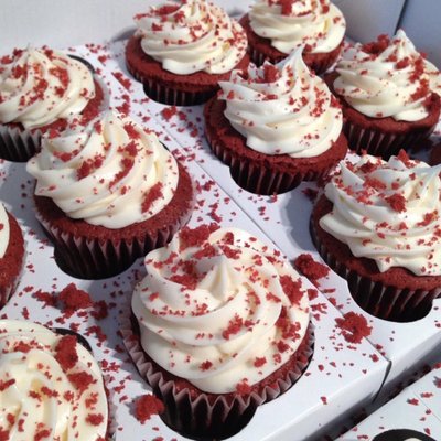 Red Velvet Cupcakes 
