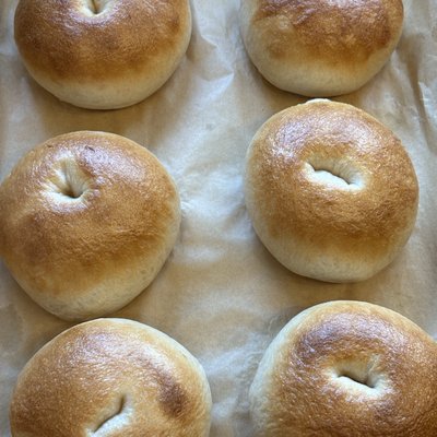 Bewitching Bagel