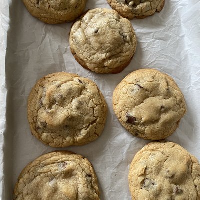 Chocolate Chip