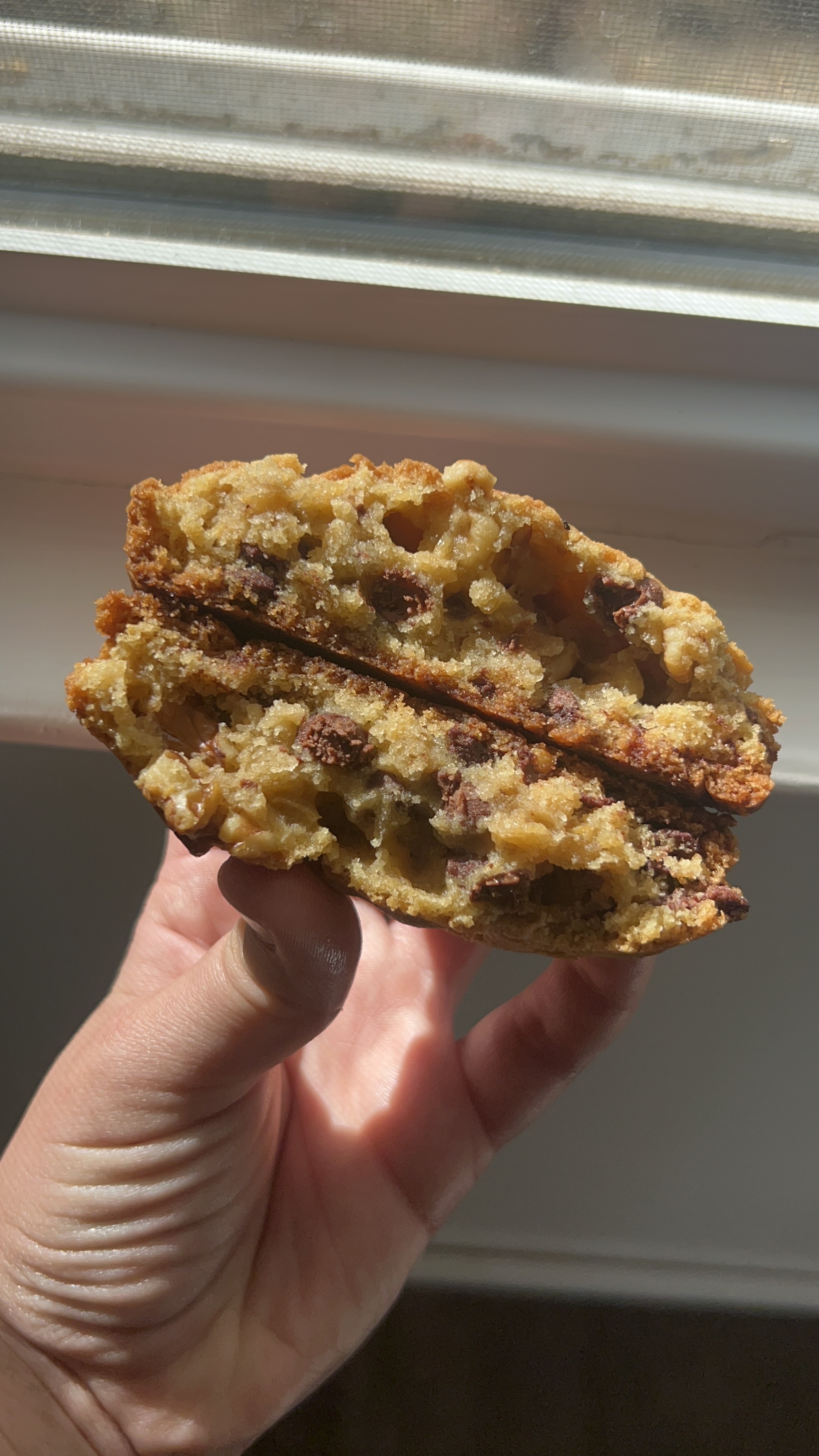 Mondo Chocolate Chip Walnut Cookie 