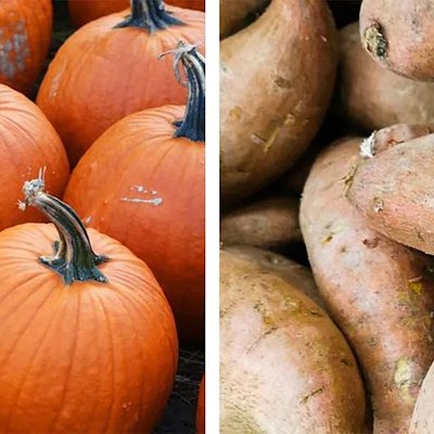 Pumpkin or Sweet Potato Pie 