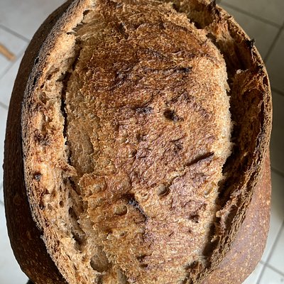 Whole Wheat Original Sourdough Large