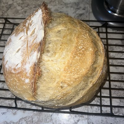 Plain Sourdough Bread 