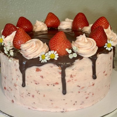 Chocolate Strawberry Cake 12-14 Servings 