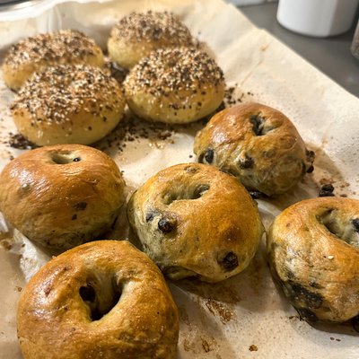 8 Bagels - Blueberry 