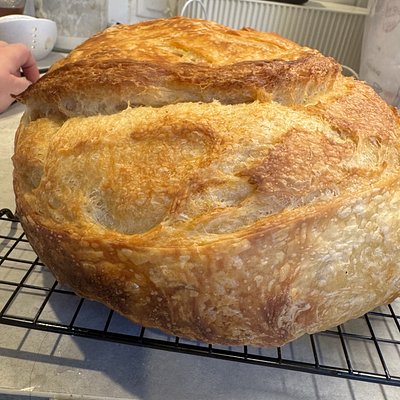 Rustic Sourdough Croissant Round