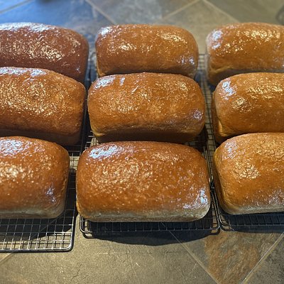 50% Whole Wheat Loaf