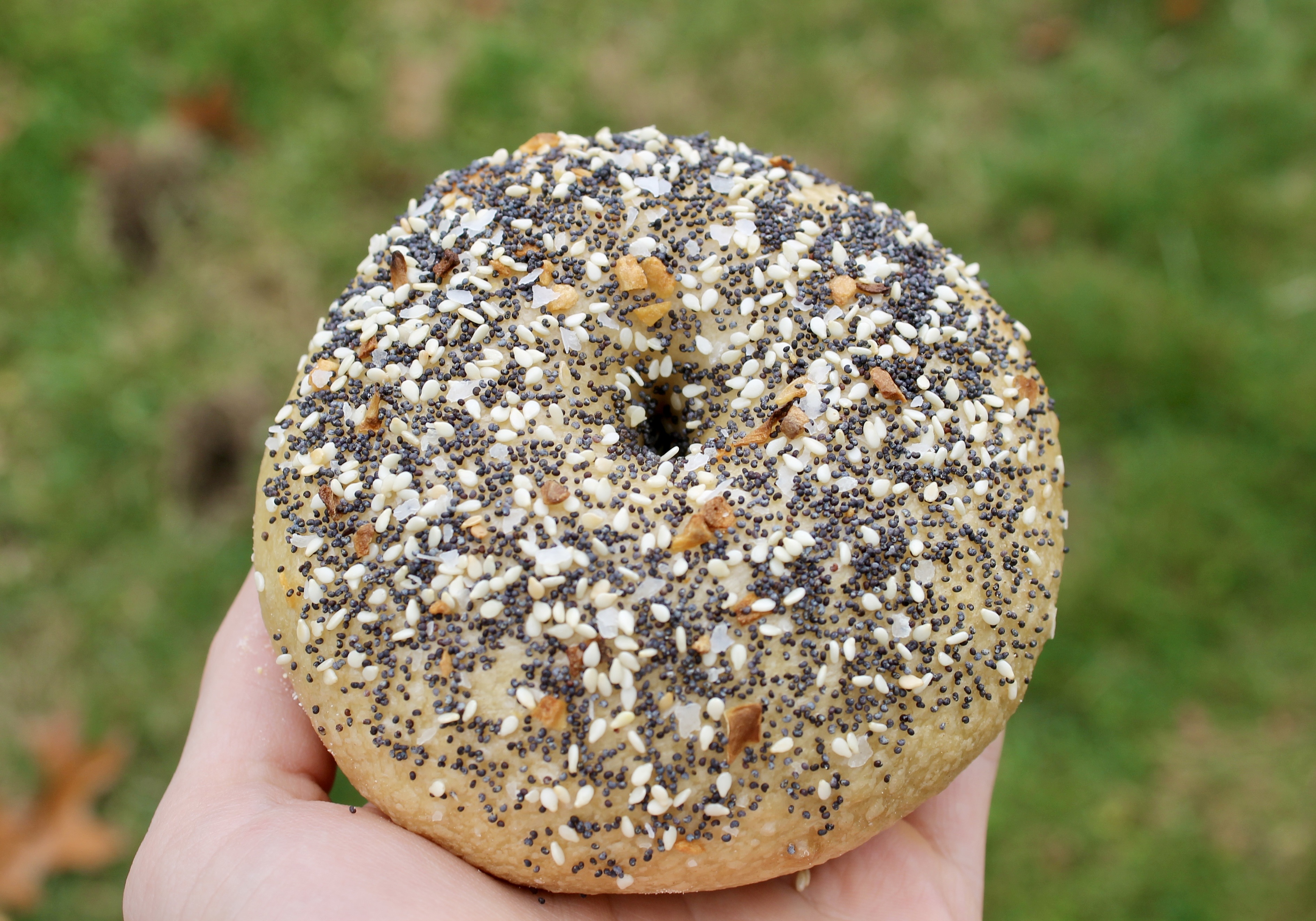 Everything Sourdough Bagels (6ct)