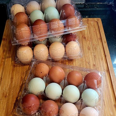 Farm Fresh Eggs