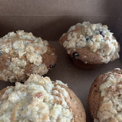 Blueberry Muffins