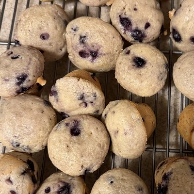 Sourdough Mini Blueberry Muffins 