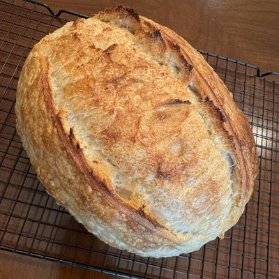 Large Oval Organic