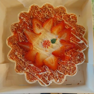 Large Cheesecake In A Chocoate Shell