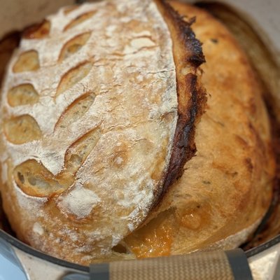 Garlic Parmesan Rosemary Sourdough Bread 