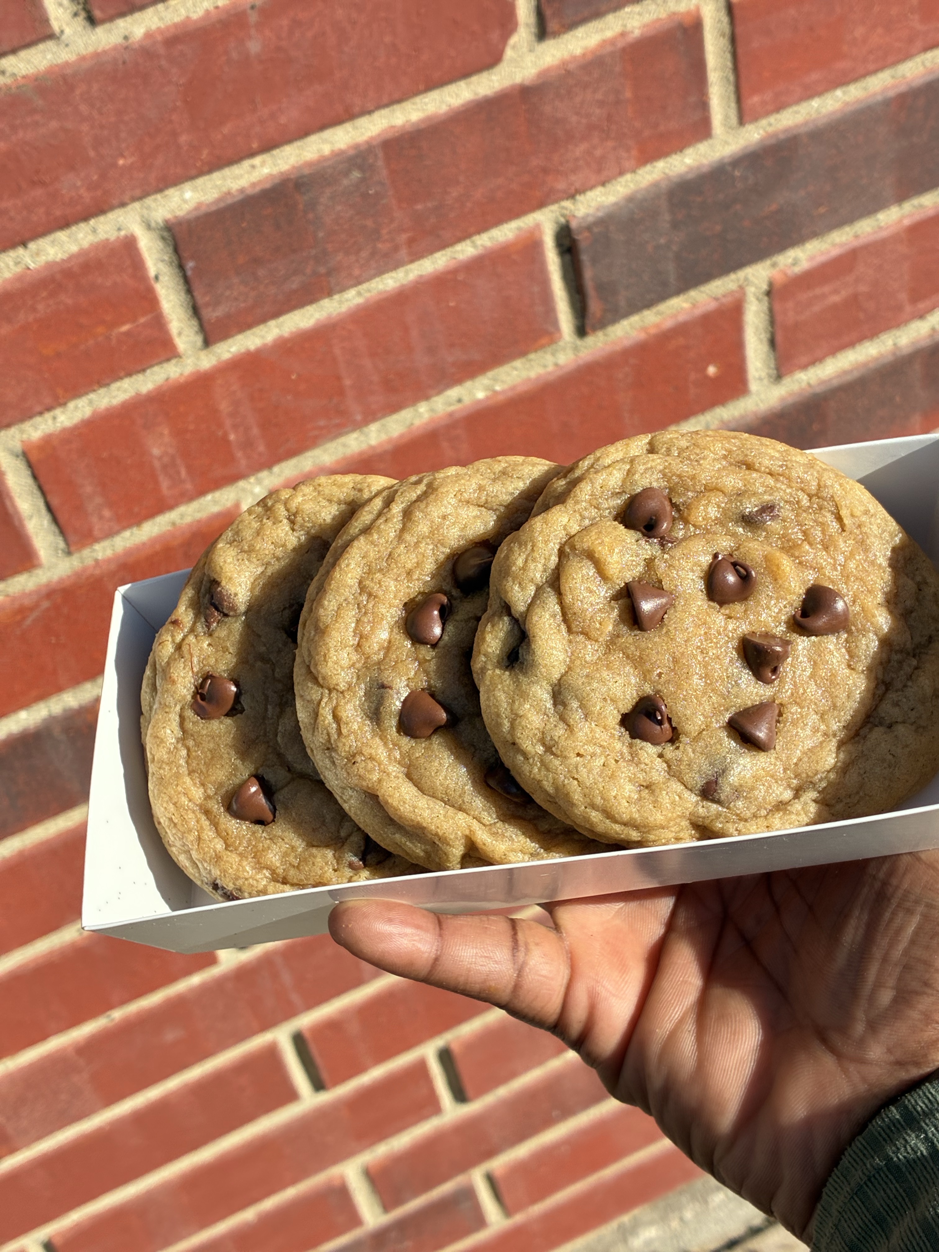 Chocolate Chip