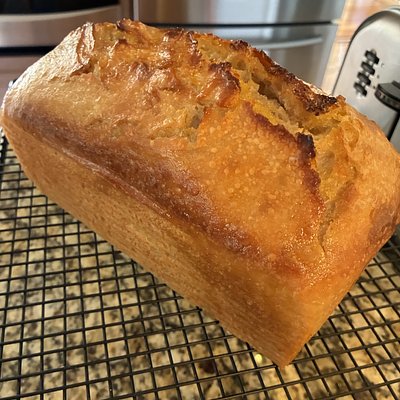 Soft Sandwich Sourdough Loaf