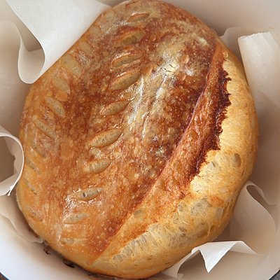 Plain Sourdough Loaf