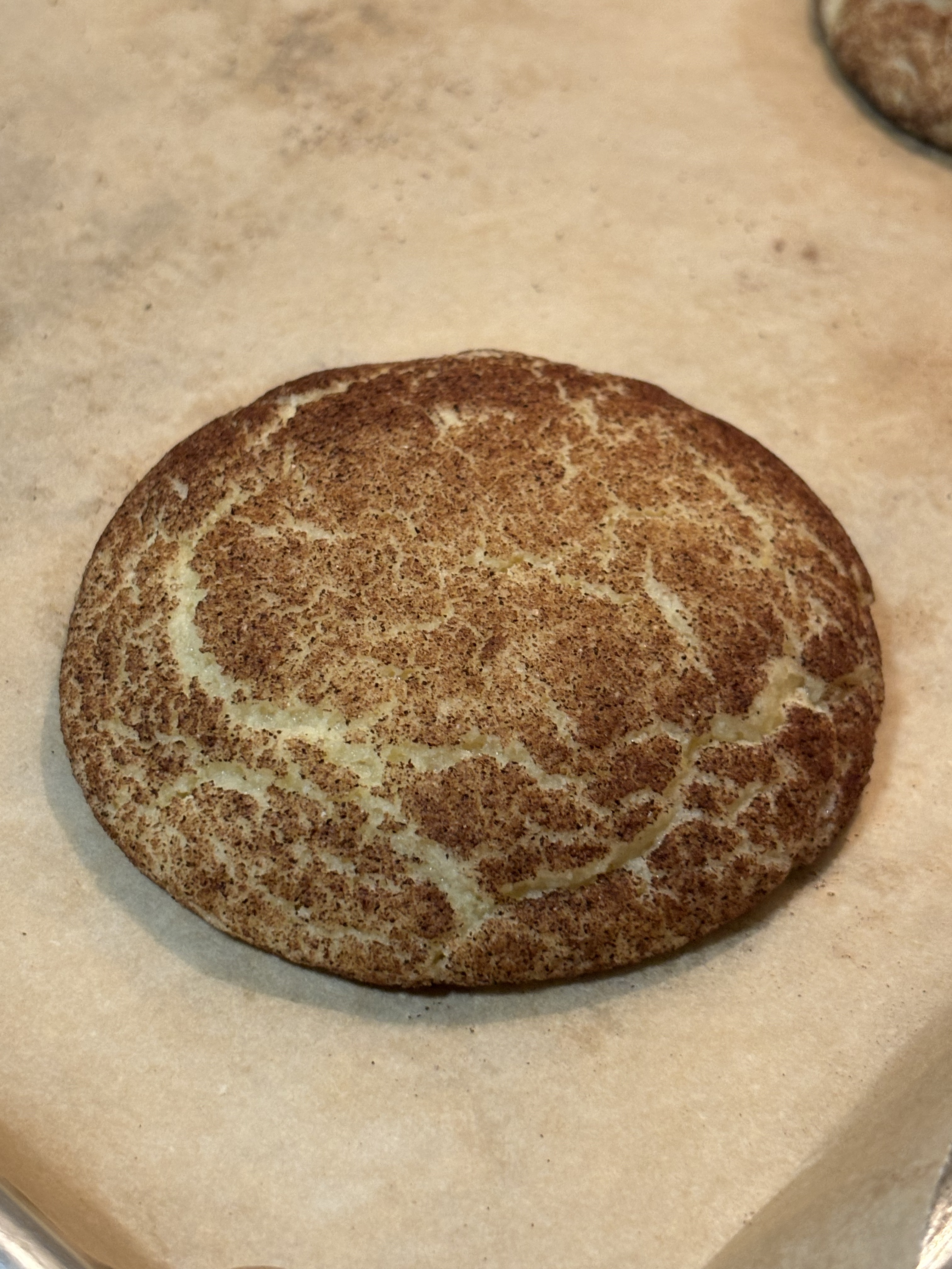 Snickerdoodle Sugar Cookies 